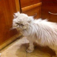 Have VAC RIP KNIFE ;,,(