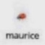 maurice