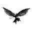 Bullet Fly