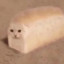 bread cat