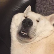 leave it or take it.