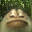 dav1noob's avatar