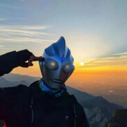 谁盗我号谁死全家