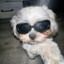 santy