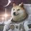 Doge to the moon