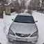 Хаски