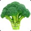 The Salty Broccoli