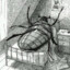 Gregor Samsa