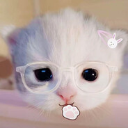 想想汁机会怎么做