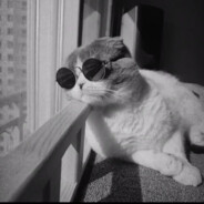 不敢打突破的突破手