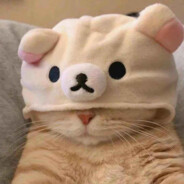 帅到你M飞檐走壁