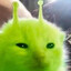 Glorp
