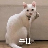 我来测测你的码