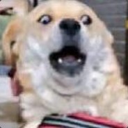 我将以盒子形态出击