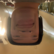 Xan
