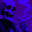 _Zontyara_