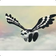 Flying Panda