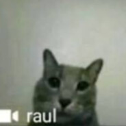 fake raul | HvH.gg