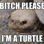 Turtle Bitch