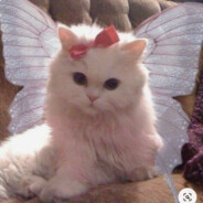 Fairy