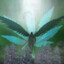 weed angel