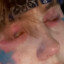 Gh0stly_