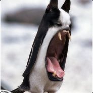 Milos - steam id 76561197963262673