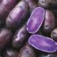 PurplePotato