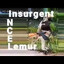 Insurgent Lemur
