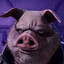Pigma male