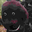 BARNEY