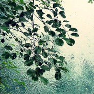 存200个手电照屠夫