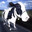 Cowtastic's Avatar