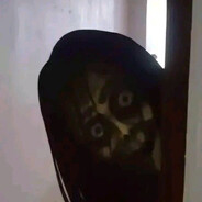 THE SCARY FACE
