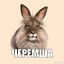 Черемша