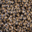 1000 Angry Bees