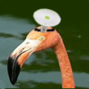 docflamingo avatar