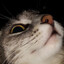πle