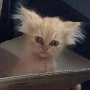 أهلاً بكم ʕ•ᴥ•ʔ