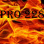 pro228