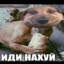 Сабака