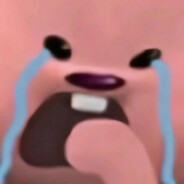 牛哞哞哞哞哞哞