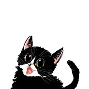 地狱公主电玩机