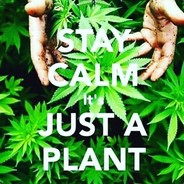 万年姻缘把你插