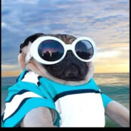 花园宝宝—4号Muziv