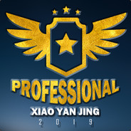 PROFESSIONAL.XYJ