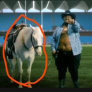 Papi - steam id 76561198340861149