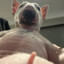 ThroatGoat