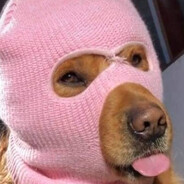 LedYnec - steam id 76561199592436975