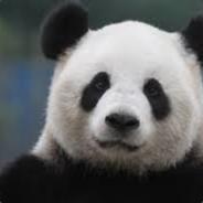 PandaMaster